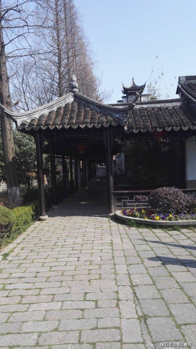 阿齐兹的“树”为何下得这么难？