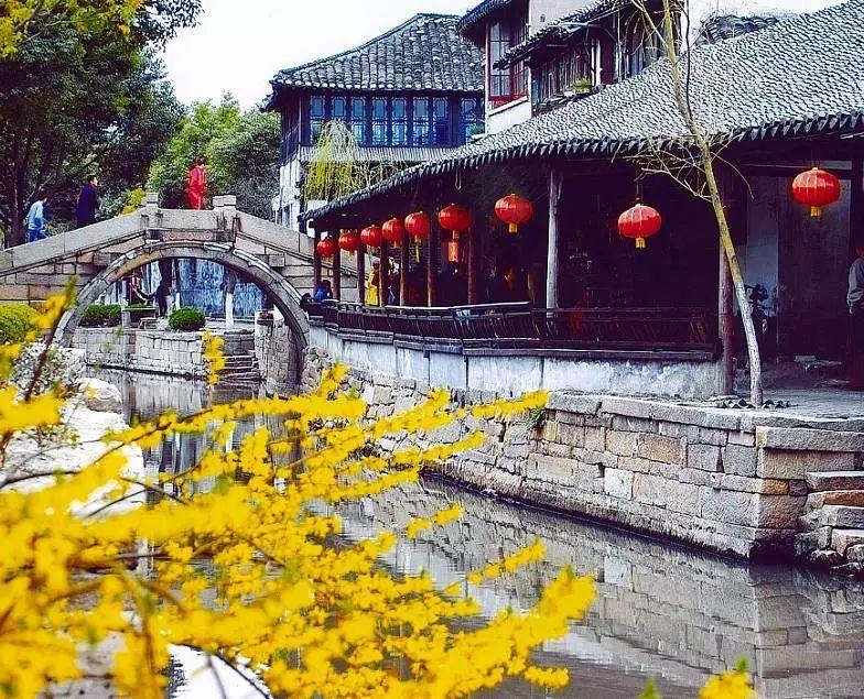 马斯克称赞中国车企:没有贸易壁垒,他们将“摧毁”大多数竞争对手